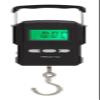 Fishing Scale Digital Hanging Scale,75kg/165LB Digital Fish Scale with Hook, for Luggage Fish Fruit Box Large Backlit LCD Display, Two AAA-Batteries Included Portable Hanging-Scale Electronic Fish We view 1