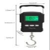 Fishing Scale Digital Hanging Scale,75kg/165LB Digital Fish Scale with Hook, for Luggage Fish Fruit Box Large Backlit LCD Display, Two AAA-Batteries Included Portable Hanging-Scale Electronic Fish We view 2