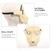 BESPORTBLE Sheep Head Mask Halloween Sheep Skull Cosplay Mask for Masquerade Party Supply view 4