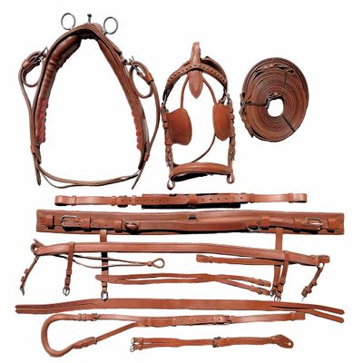 Equitem Tan Brown Leather Cob Driving Show Training Cart Harness