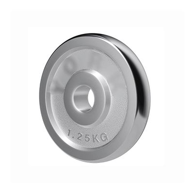 YKHB Solid Cast Iron Weight Plate,1 Inch Barbell Plate,Fitness Buffer Plate,Free Weight Training,Increase Flexibility (Size : 1.25kg/2.7lbs1)