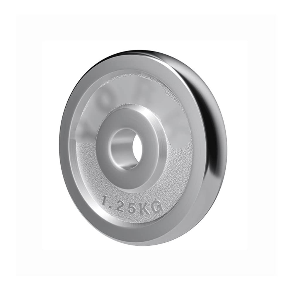 YKHB Solid Cast Iron Weight Plate,1 Inch Barbell Plate,Fitness Buffer Plate,Free Weight Training,Increase Flexibility (Size : 1.25kg/2.7lbs1)