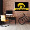 Rico Industries NCAA Iowa Hawkeyes Black with Gold Stripe 3' x 5' Banner Flag Single Sided - Indoor or Outdoor - Home Dcor view 2