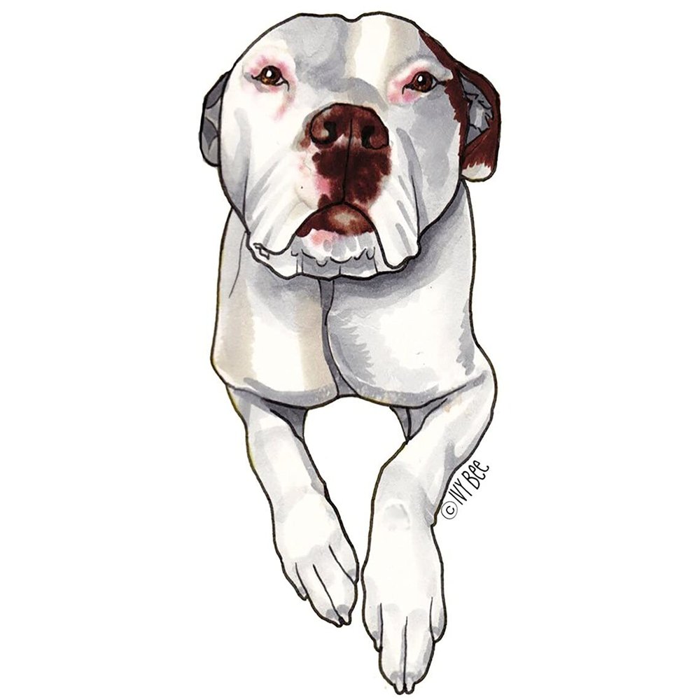 Ivybee Decals Adorable White Pit Bull Color Printed Vinyl Decal 2 Inches