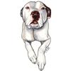 Ivybee Decals Adorable White Pit Bull Color Printed Vinyl Decal 2 Inches view 1