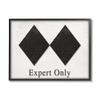 Stupell Industries Double Black Diamond Ski Sport Symbol Experts Only view 1