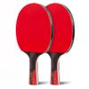 LINGOSHUN Portable Table Tennis Set Ping-Pong Game,Comfortable Handle,Ping Pong Racket for Trainers,Amateurs,Beginners / 2 / Player Set/A view 1