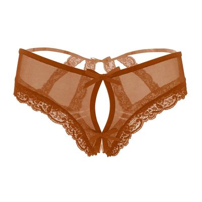 SUKIRIYA Womens lace briefs sexy panties with cage back (Chocolate Brown, 1X/2X)