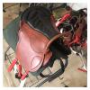 Cowhide Saddle seat Cushion Saddle Full Set of Harness Cowhide New Saddle Saddle Horse Equestrian Supplies Comfortable Soft and Light Weight (Color : White) view 4