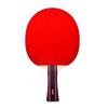 LINGOSHUN Ping Pong Racket Set,Double-Sided Reverse Adhesive,Table Tennis Bats,1 Carrying Bag,for Trainer Adults Kids Indoor Outdoor / 6 Stars/Long Handle view 1