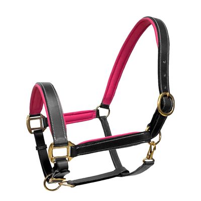Equitem Leather Halter with Color Padded Crown and Nose with Brass Hardware (Black with Pink, Pony)