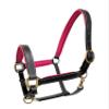 Equitem Leather Halter with Color Padded Crown and Nose with Brass Hardware (Black with Pink, Pony) view 1