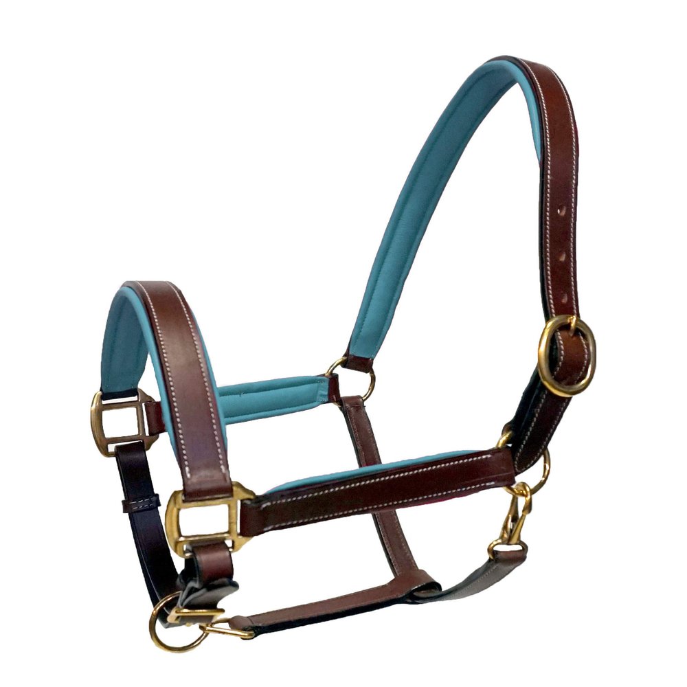 Equitem Leather Halter with Color Padded Crown and Nose with Brass Hardware (Brown with Teal, Pony)