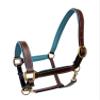 Equitem Leather Halter with Color Padded Crown and Nose with Brass Hardware (Brown with Teal, Pony) view 1