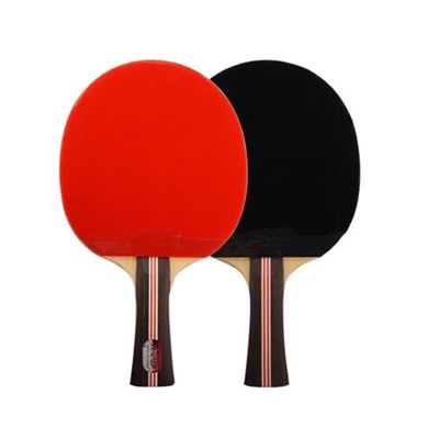 LINGOSHUN Ping Pong Racket,Comfortable Handle,3-Star Beginner Sports Table Tennis Bats for Indoor Outdoor Family Activity Leisure Games/Double/Long Handle
