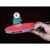 LINGOSHUN Ping Pong Racket,Comfortable Handle,3-Star Beginner Sports Table Tennis Bats for Indoor Outdoor Family Activity Leisure Games/Double/Long Handle view 2