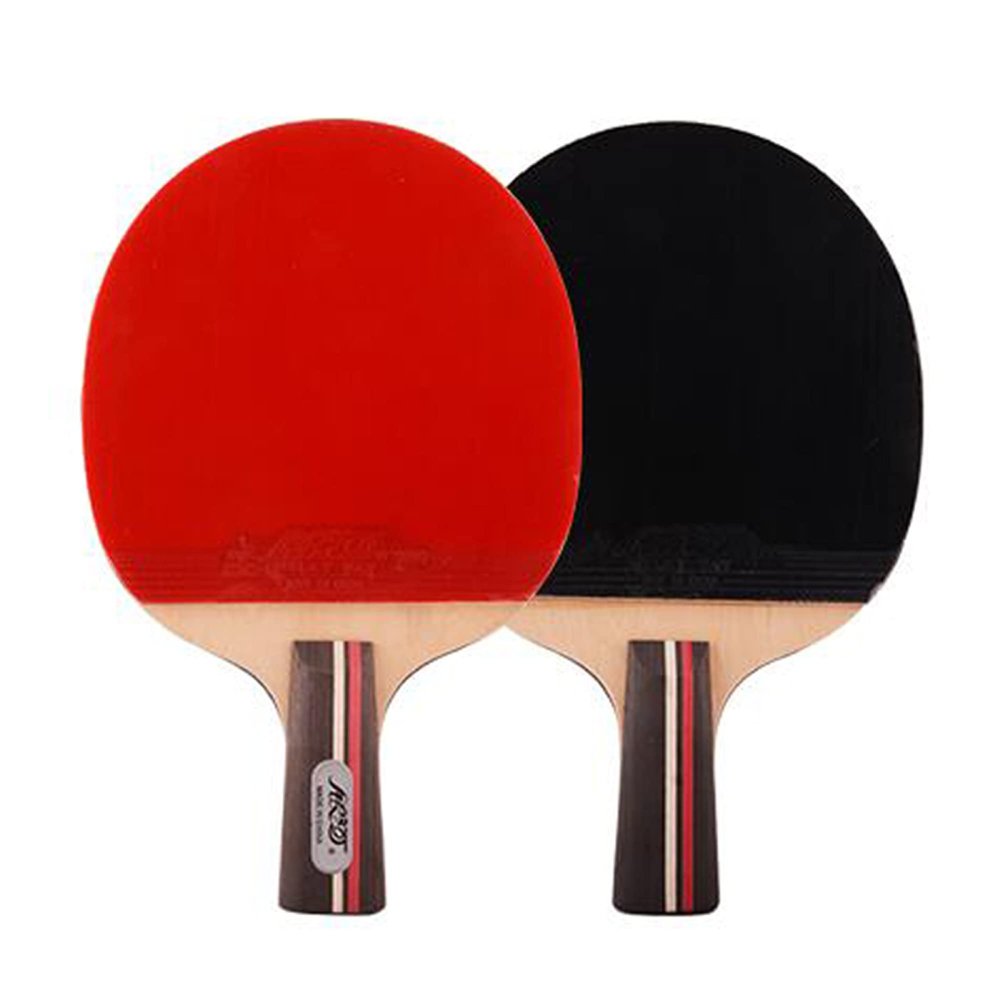 LINGOSHUN Table Tennis Bats,Double-Sided Reverse Adhesive,Beginner Sports Ping Pong Paddle Set for Family Activity, School and Sports Club/Double/Short Handle