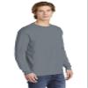 Comfort Colors Men's Adult Long Sleeve Tee, Style 6014 (Medium, Granite) view 4