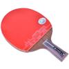 LINGOSHUN Ping Pong Racket Set 12 Star, ITTF Approved Rubber,Professional Table Tennis Bats for Intermediate and Advanced/Single/Short Handle view 2