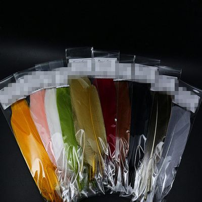 WellieSTR 100pcs (10 Color) Fly Tying Goose Shoulders Feather Wet Fly Married Wings Tying Materials Salmon Steelhead Flies