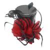 Alvivi Mini Top Hat Hair Clip Feathers Flower Decor Fascinator Cocktail Hats for Women Girls Halloween Christmas Party Black&Red One Size view 1