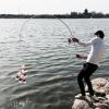 XFYJR Fishing Rod and Reel Telescopic Ultra-Light Super Hard Sea Pole Long Shot Portable Gear 2.1m 2.4m 2.7m 3.0m 3.6m Fishing Tackle (Size : 2.4m) view 4
