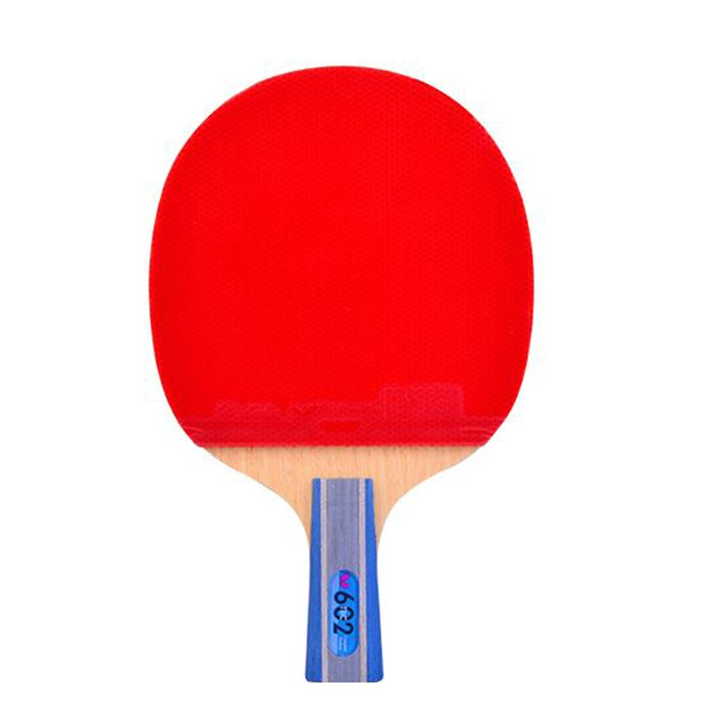 LINGOSHUN Ping Pong Paddle,ITTF Approved Rubber,Advanced Table Tennis Bats,Open Grip,with Gift Box Storage Case / 6 Stars/Short Handle