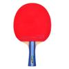 LINGOSHUN Professional Table Tennis Racket,5-Ply Wood,Flared Handle Ping Pong Bat for Trainers, Amateurs,Beginners,Expert / 5 Stars/Long Handle view 1