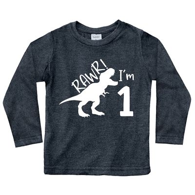 First Birthday Boys Outfit Tractor Construction Shirt Dinosaur Baby boy Wild Shirts rawr Dino one Year Old Gifts (US, Age, 2 Years, Charcoal Black - Long Sleeve - Rawr)