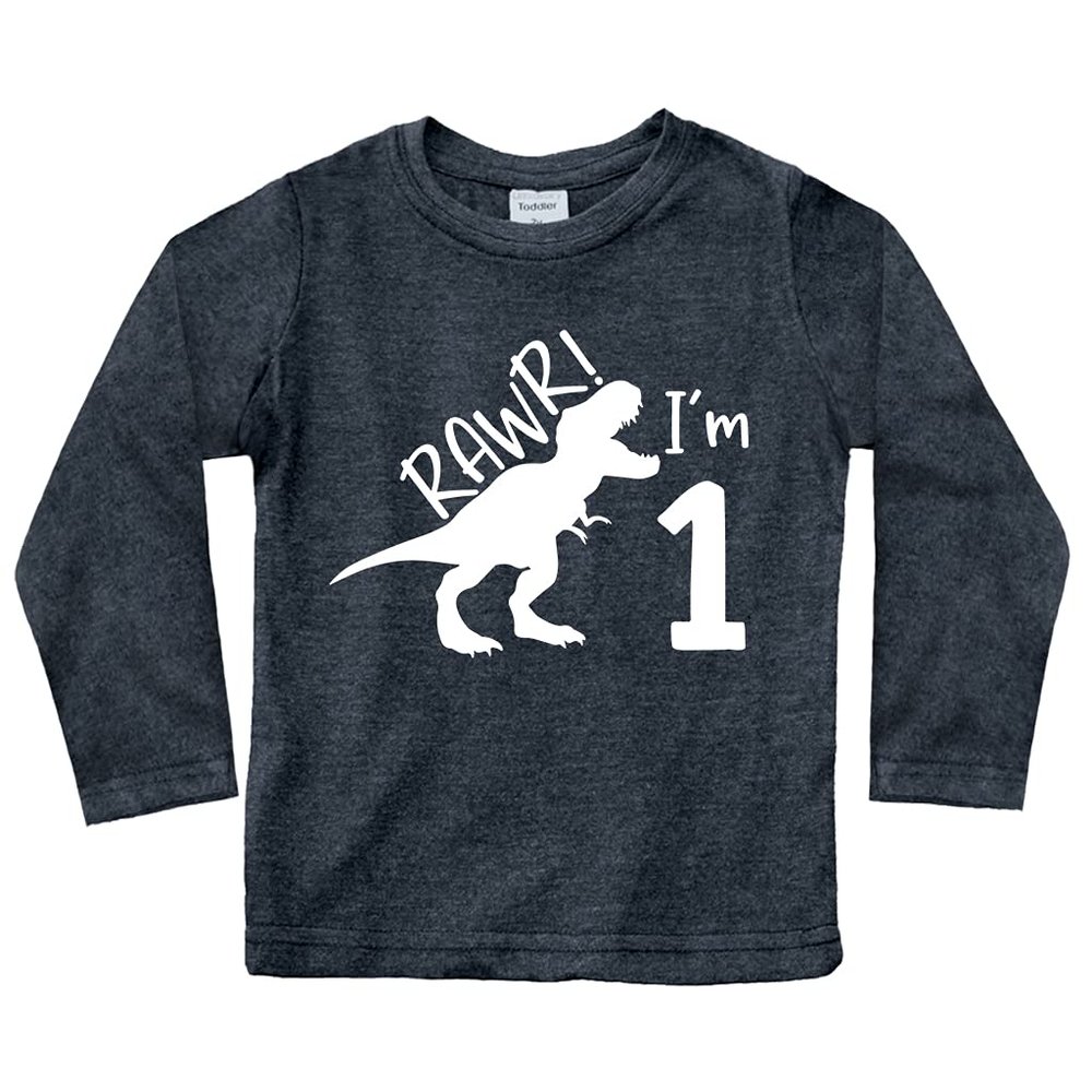 First Birthday Boys Outfit Tractor Construction Shirt Dinosaur Baby boy Wild Shirts rawr Dino one Year Old Gifts (US, Age, 2 Years, Charcoal Black - Long Sleeve - Rawr)