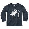 First Birthday Boys Outfit Tractor Construction Shirt Dinosaur Baby boy Wild Shirts rawr Dino one Year Old Gifts (US, Age, 2 Years, Charcoal Black - Long Sleeve - Rawr) view 1