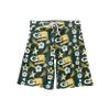 Green Bay Packers NFL Mens Americana Boardshorts - XXL view 4