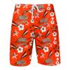 Cleveland Browns NFL Mens Americana Boardshorts - M view 1