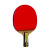 LINGOSHUN Table Tennis Paddle Set 6 Stars,Portable Ping Pong Bats for Children Adult Table Tennis Racket Set,ITTF Approved Rubber/Single/Short Handle view 1