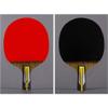LINGOSHUN Table Tennis Paddle Set 6 Stars,Portable Ping Pong Bats for Children Adult Table Tennis Racket Set,ITTF Approved Rubber/Single/Short Handle view 2