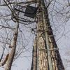 Summit Treestands SU83124 30' Safety Line view 3