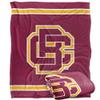 Bethune-Cookman University Wildcats Blanket, 50"x60" Primary Logo Stripes, Silky Touch Super Soft Throw view 1