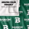 Babson College Beavers Blanket, 50"x60" Logo Pattern, Silky Touch Super Soft Throw view 4
