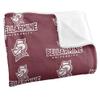 Bellarmine University Knights Blanket, 36"x58" Logo Pattern, Silky Touch Super Soft Throw view 3
