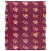 Bethune-Cookman University Wildcats Blanket, 50"x60" Logo Pattern, Silky Touch Super Soft Throw view 2
