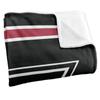 University of Indianapolis Hounds Blanket, 50"x60" Primary Logo Stripes, Silky Touch Super Soft Throw view 3