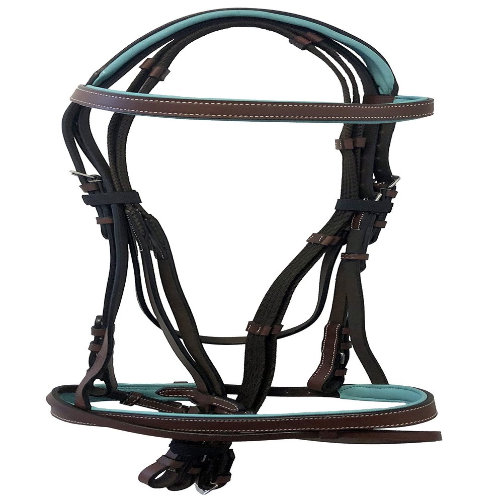 Equitem Leather English Teal Padded Bridle with Reins (Brown with Teal, Pony)
