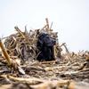 Dakota Decoy XSeries Deluxe Outfitter Layout Blind view 4