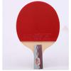 LINGOSHUN Table Tennis Bats 2 Player Set,Ping Pong Paddle Set 5 Stars,Table Tennis Racket for Family Activity, School and Sports Club/Double/B view 3