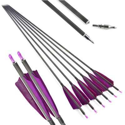 AMEYXGS 34 Inch Carbon Arrows 400 Spine Hunting Arrows with Removable Tips and 4 Turkey Feather Target Practice Arrow for Compound & Recurve & Long Bow 6/12 Pcs (Pueple, 12 pcs)