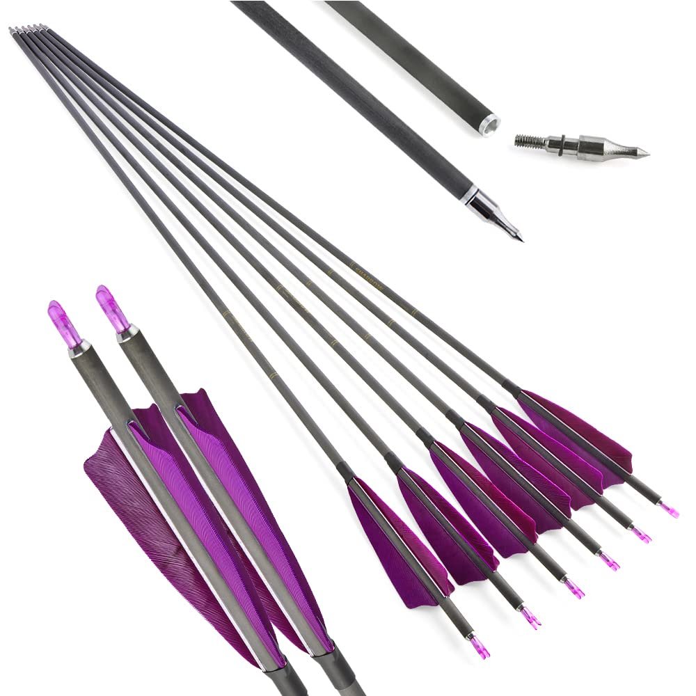 AMEYXGS 34 Inch Carbon Arrows 400 Spine Hunting Arrows with Removable Tips and 4 Turkey Feather Target Practice Arrow for Compound & Recurve & Long Bow 6/12 Pcs (Pueple, 12 pcs)