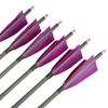AMEYXGS 34 Inch Carbon Arrows 400 Spine Hunting Arrows with Removable Tips and 4 Turkey Feather Target Practice Arrow for Compound & Recurve & Long Bow 6/12 Pcs (Pueple, 12 pcs) view 4