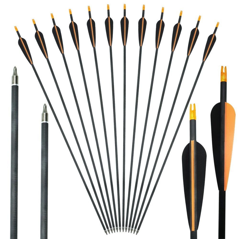 29/30/31Inch Archery Carbon Arrow 400/500/600 Spine Hunting Arrows with 100 Grain Practice Shooting Pro Arrows Head for Compound Bows and Recurve Traditional Long Bow (Pack of 12) (29 Inch,Spine 400)