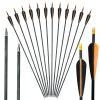 29/30/31Inch Archery Carbon Arrow 400/500/600 Spine Hunting Arrows with 100 Grain Practice Shooting Pro Arrows Head for Compound Bows and Recurve Traditional Long Bow (Pack of 12) (30 Inch,Spine 500) view 1
