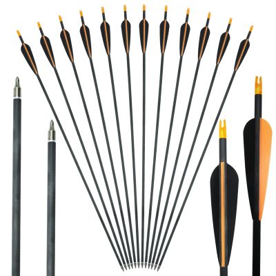 29/30/31Inch Archery Carbon Arrow 400/500/600 Spine Hunting Arrows with 100 Grain Practice Shooting Pro Arrows Head for Compound Bows and Recurve Traditional Long Bow (Pack of 12) (29 Inch,Spine 600)